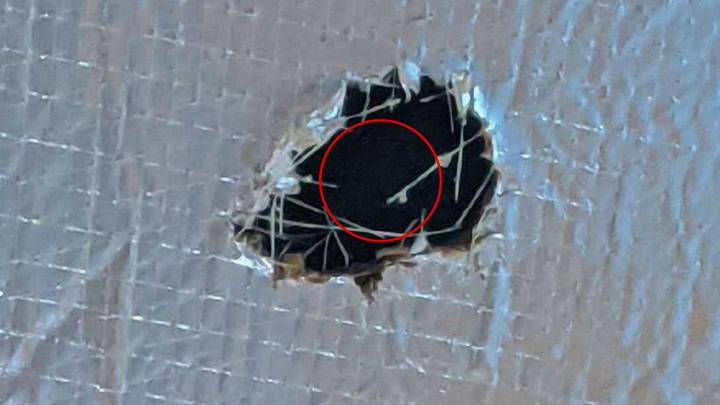 Florida Workers Investigate Noises In The Walls And Find Something That Leaves Them Speechless