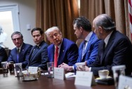 Trump runs administration 'like a family business' with select few 'insiders': expert