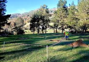 El Ayuntamiento de Oviedo inicia las excavaciones del castro de Monte Alto para poner en valor el yacimiento