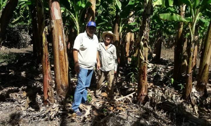 Pánfilo Ayala: “Estamos en una situación crítica”