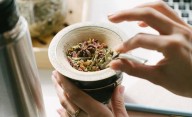 Adiós cansancio: el yuyo que se le puede sumar al mate para tener más energía