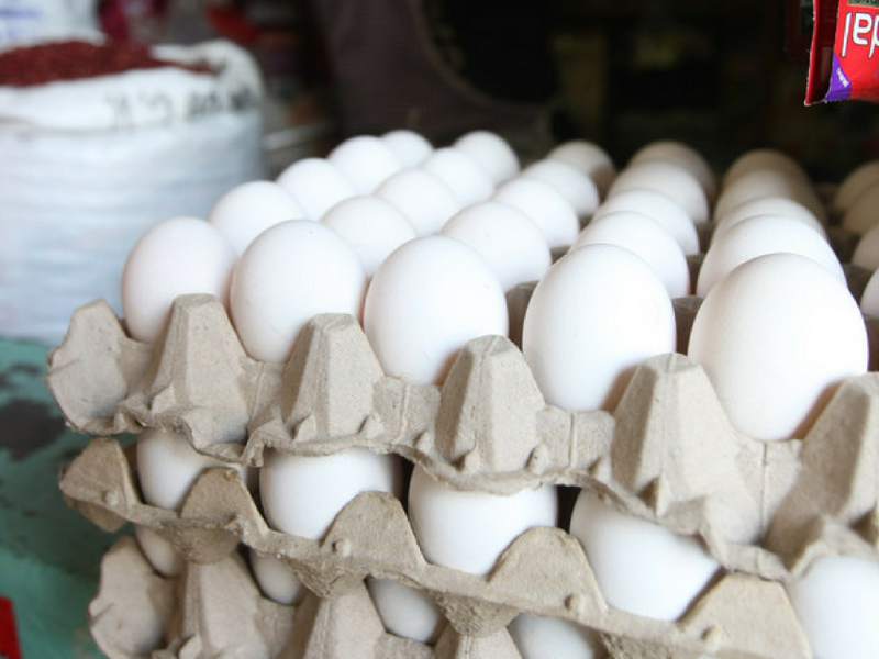 Industria avícola destaca alza y calidad de producción de huevos y pollo