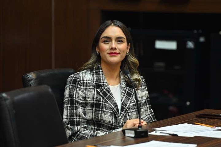 INICIATIVA PARA GARANTIZAR APOYOS SOCIALES A MUJERES EN SITUACIÓN DE VIOLENCIA