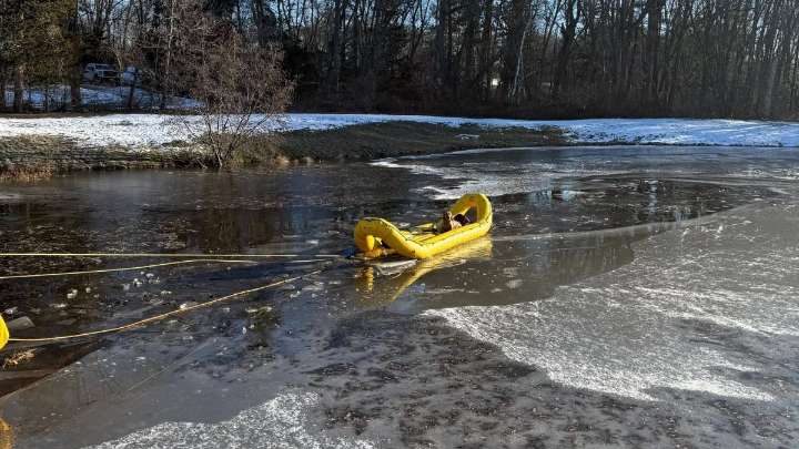 Firefighters rescue dog after fall through ice in Andover