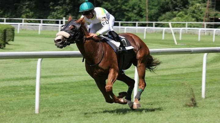 Mumbai Races: Fynbos Best For Indian 1000 Guineas