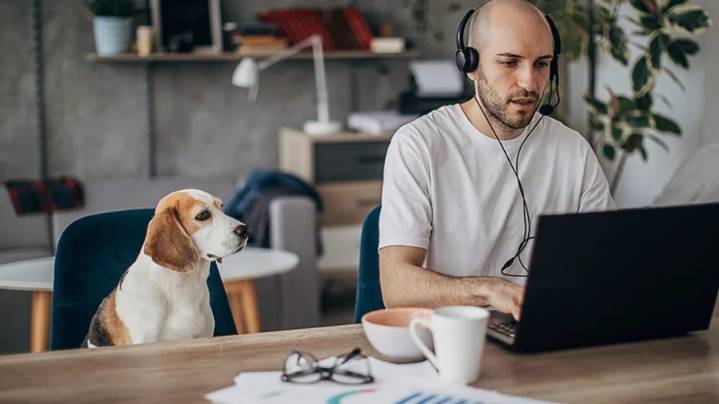 Are remote workers honest about their hours?