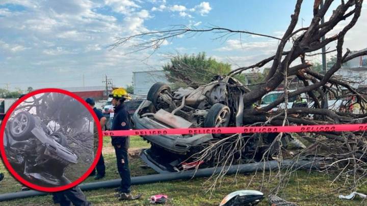 Carrera mortal: conductor muere aplastado contra un árbol; iba 'cómo alma que lleva el diablo'