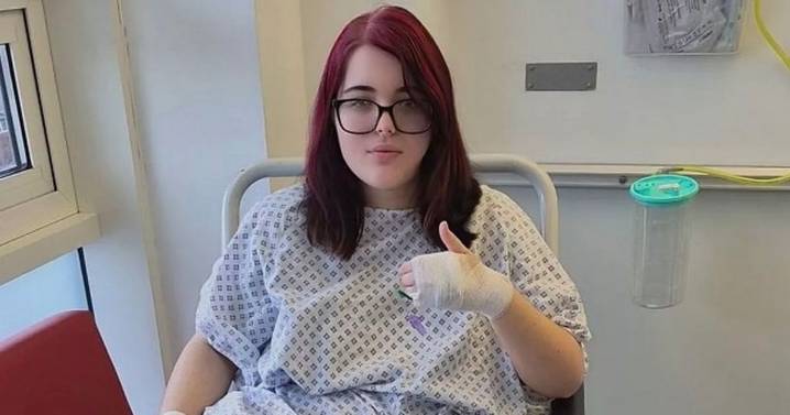 Liverpool 'XL Bully' attack as schoolgirl 'shaken like toy' and left unconscious