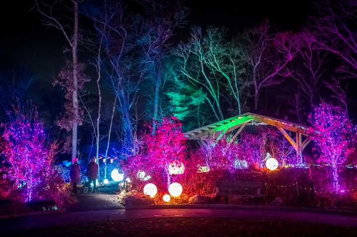 Night Lights at New England Botanic Garden in Boylston voted best in the nation