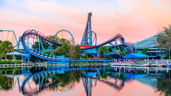 SeaWorld Is Being Sued After A Bird Hit A Woman On A Roller Coaster. Why The Park Is Trying To Get Out Of It