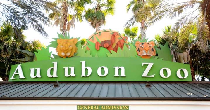 Audubon Zoo defends plan to raise family membership cost. How does it compare to other zoos?