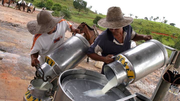 Lactalis rechazó sanción anunciada por la SIC: la compañía anuncia que iniciará las acciones legales correspondientes