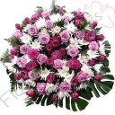 MALAISE MARIA MONICA