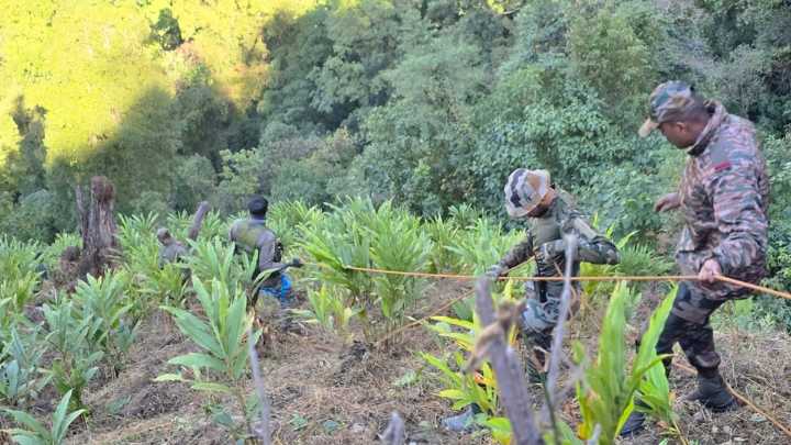Lone survivor's escape leads to discovery of 21 dead in gorge mishap on India-China border in Arunachal Pradesh; rescue ops underway