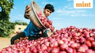 Study finds onion buffer curbs retail price swings, lifts farmer earnings