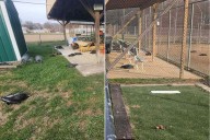 Over 70 Vultures Found Dead, Likely Due to Bird Flu, on Campus of Ohio School