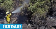 10:03 Incendios forestales: cuánto costarán las nuevas multas por hacer fuego en zonas prohibidas