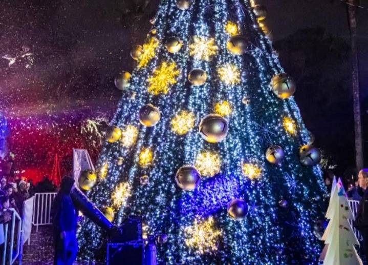 Enciende César el Pino Navideño