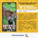 Con la experiencia “territorio jaguar”, Corporinoquia estuvo presente en el V Congreso de Ambiente, Ciudad y Territorio