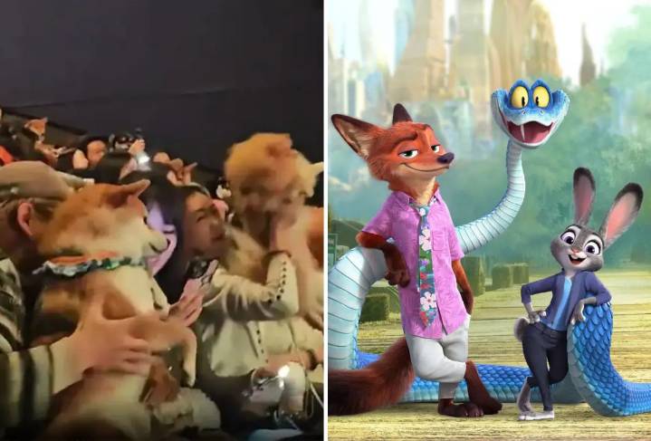 China sorprende con funciones especiales de “Zootopia 2” que permiten la entrada de perros