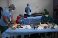 Misión Nevado y Gobernación esterilizan a más de 130 mascotas en jornada gratuita