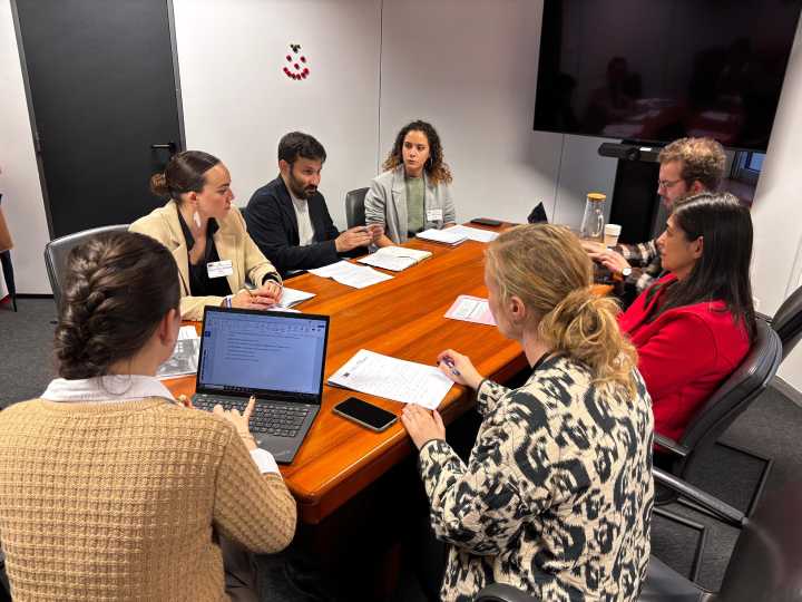 Compromís denuncia en Bruselas la Oficina de la Maternidad de Alicante