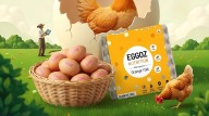 No Eggoz Eggs Found in Kashmir, Testing Underway: DFA Commissioner