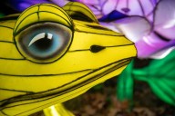 Families flock to the Bronx Zoo for their dazzling Holiday Lights experience