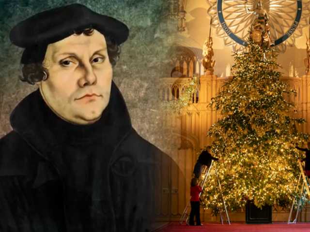 Este es el origen pagano del árbol navideño: una tradición más antigua que la Navidad