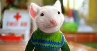 No, Stuart Little Isn't A Mouse | HuffPost UK Entertainment