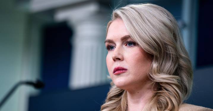 Mother of Karoline Leavitt's nephew released from ICE custody