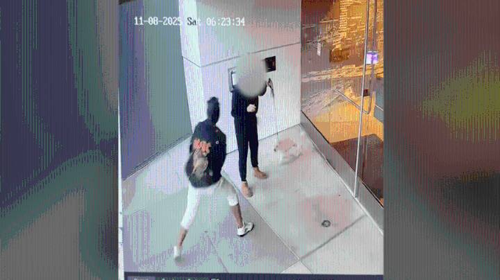 Woman sexually assaulted while walking her dog in downtown L.A.