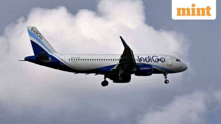 What rule exemptions has Indigo asked for amid widespread cancellations?