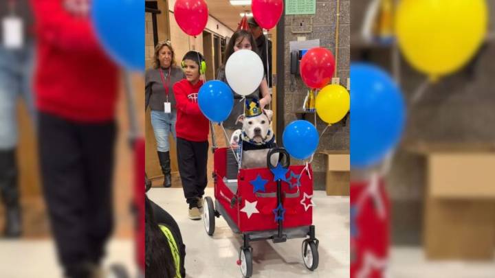 New Jersey Students Surprise Their Beloved School Therapy Dog In Heartwarming Celebration