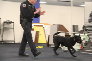 First group of K9 units in eastern Idaho certified to detect pure fentanyl