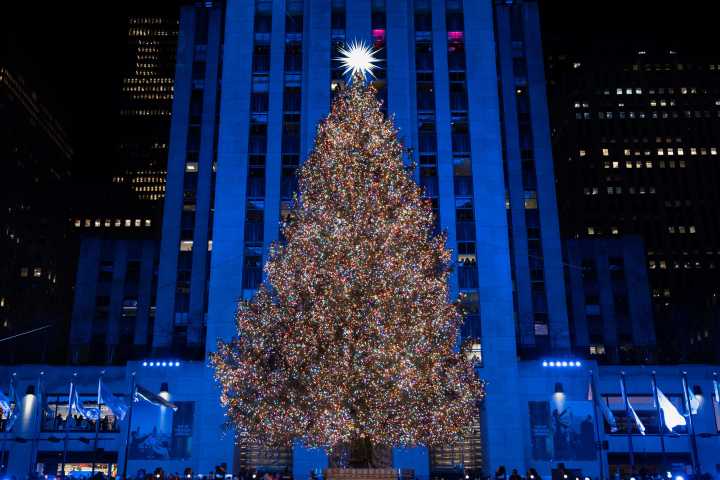 Our world in photos: December 4