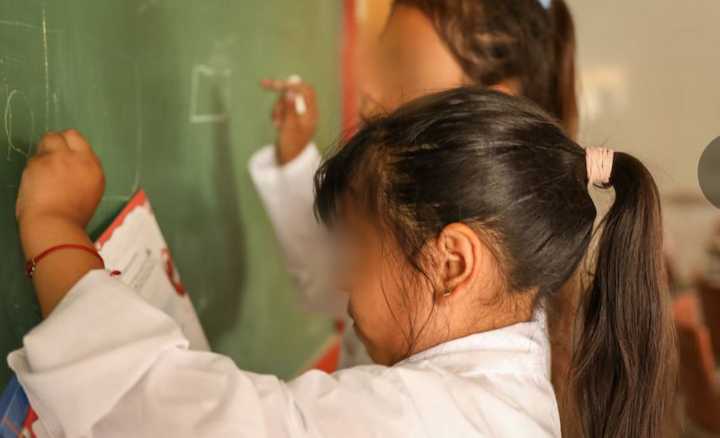 "Quieren la mercantilización de la educación"