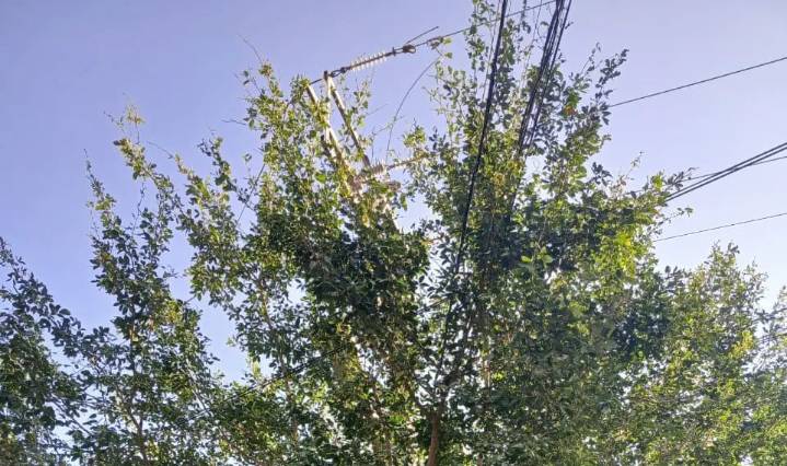 Vecinos de la 12 de Octubre reportan lámpara descompuesta desde hace tres meses