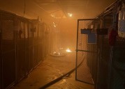 Fire Breaks Out At Kennel Tied To Past Bedford Animal Cruelty Case: Dogs Rescued