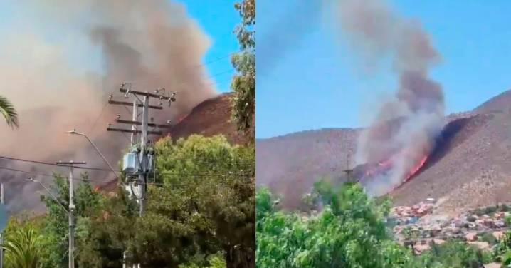 VIDEO| Incendio forestal en comuna de Pudahuel amenaza viviendas en zona de Ciudad de Los Valles