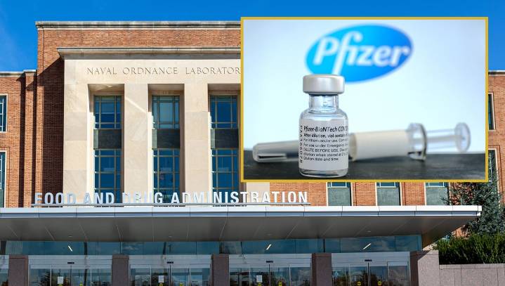 FDA Says Pfizer Vaccine Is Harmless To Humans, COVID