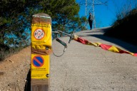Un embutido contaminado pudo ser el origen de la peste porcina