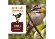 Arequipeños eligen a la "Tanquita" como el ave emblemática del 2025 de la región