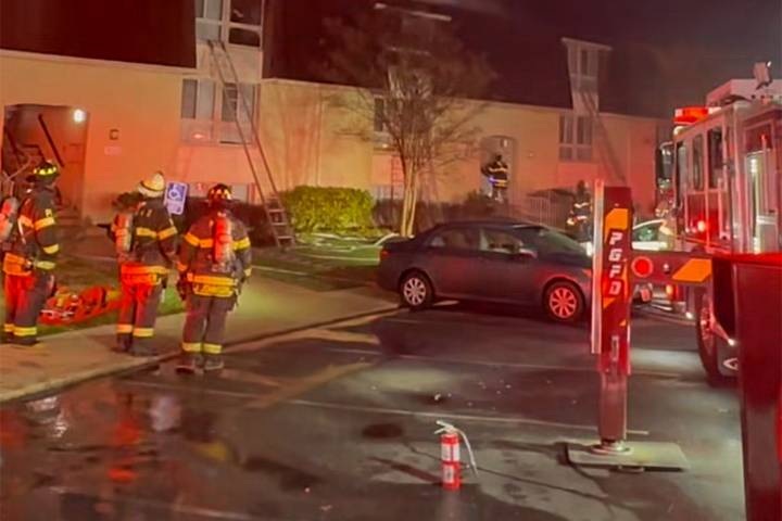 Man Arrested for Allegedly Throwing Dog Off 3rd Floor Balcony, Setting His Apartment Building on Fire