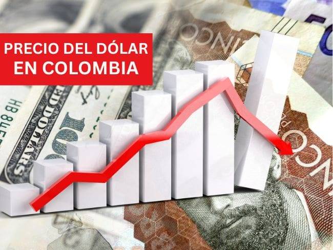 Precio del dólar en Colombia HOY 4 de diciembre: Banrep reporta una nueva disminución
