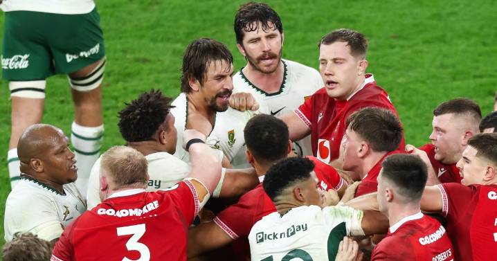 Eben Etzebeth breaks silence on eye-gouge ban as he shares new footage in apology post