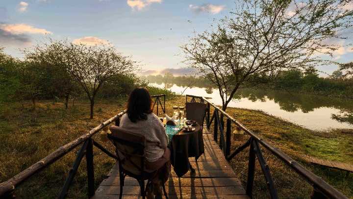 The rise of the "AQI Holiday": Why forests are becoming India's new luxury escapes