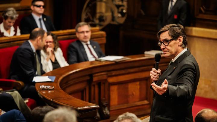 Illa pedirá comparecer en el Parlament a petición propia por el brote de peste porcina