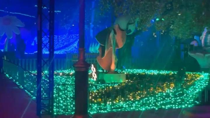 La programación de Navidad para este viernes en Murcia: el Jardín de los Sueños y más