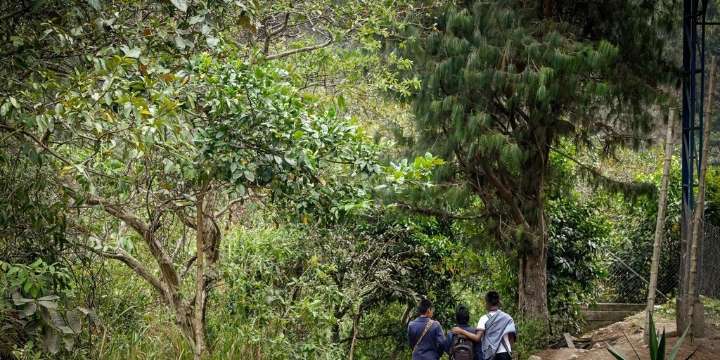 Organizaciones sociales se oponen a disposición del Gobierno de ejecutar bombardeos en el Catatumbo: temen por la población